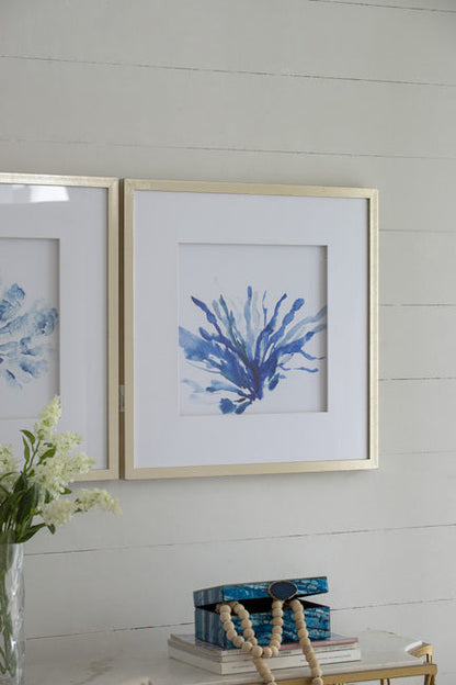 Set of 2 Blue Coral Framed Prints