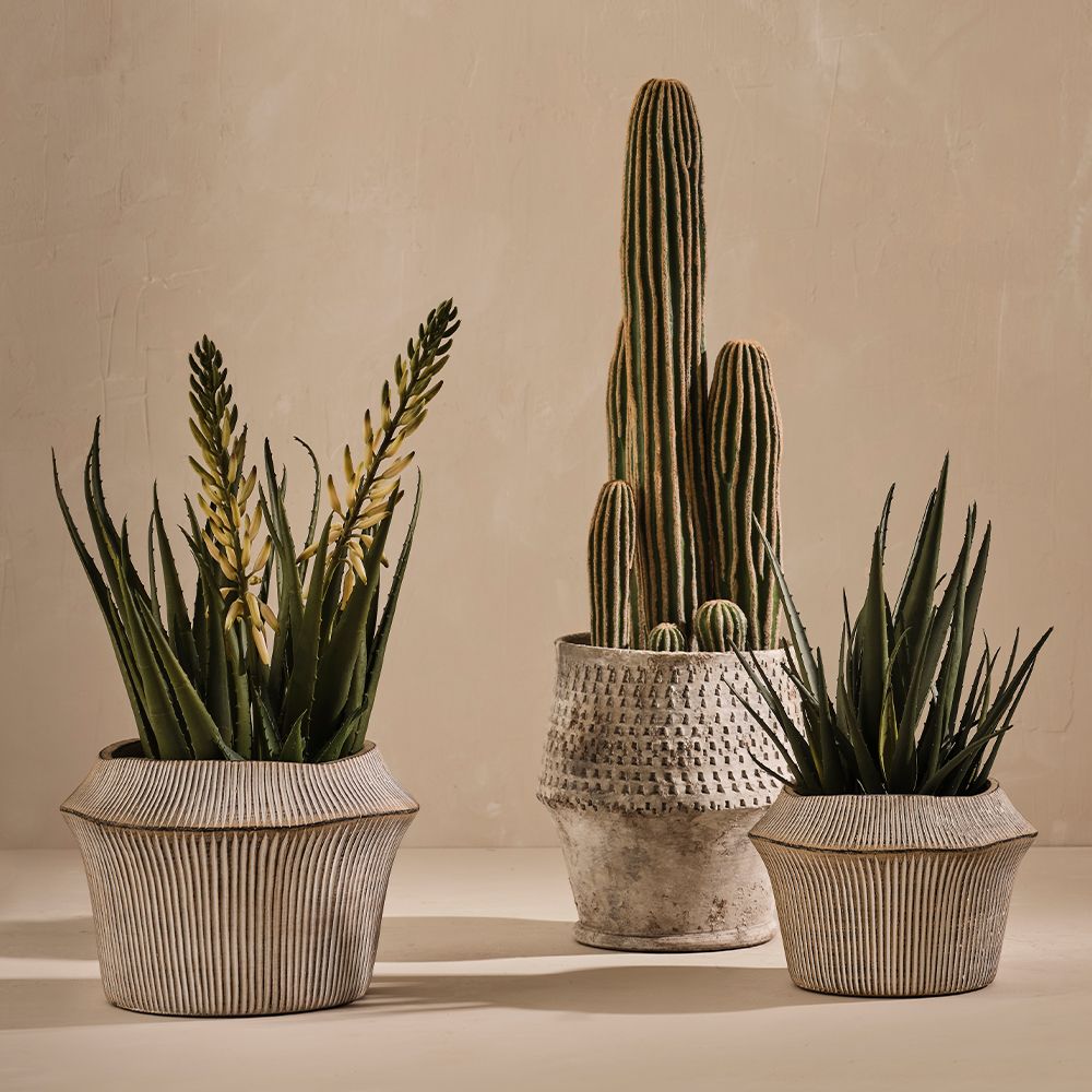 Catullo Pot